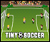 Tiny-Soccer